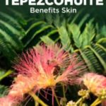 Tepezcohuite для кожи: преимущества, использование, риски, побочные эффекты